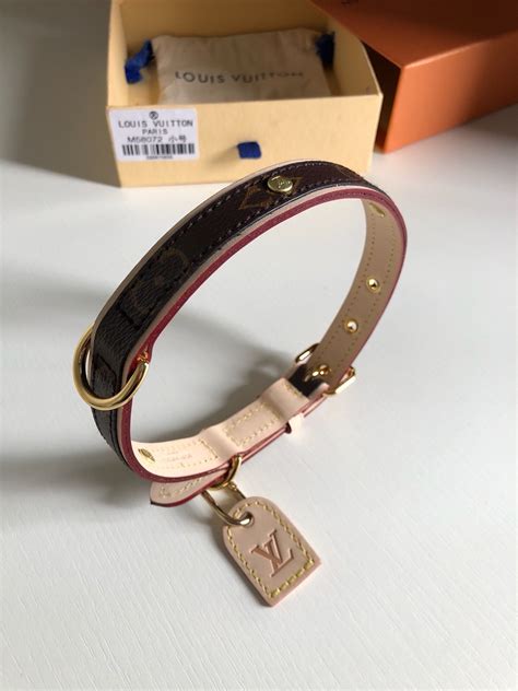 lv dog collar replica